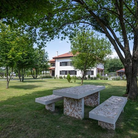 Pensiunea Negoiu Porumbacu de Sus Dış mekan fotoğraf