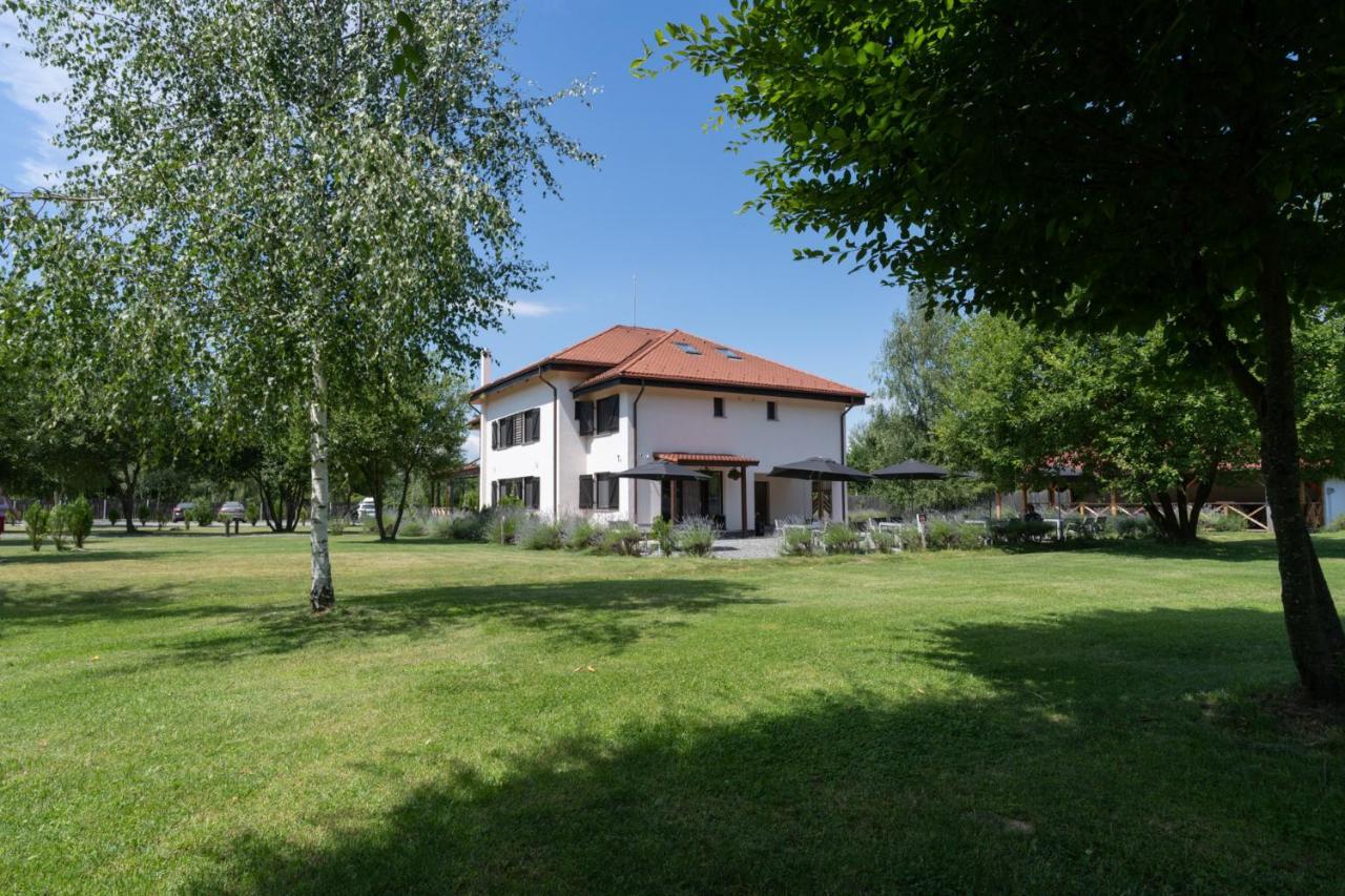 Pensiunea Negoiu Porumbacu de Sus Dış mekan fotoğraf