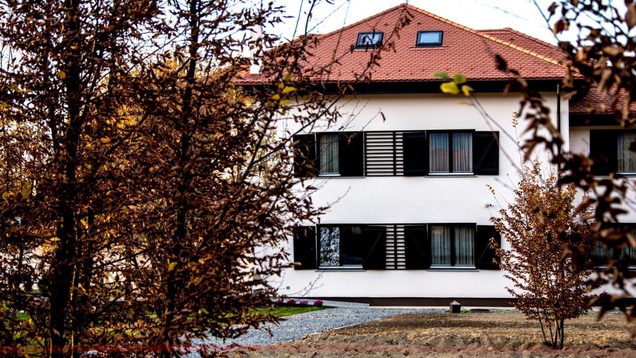 Pensiunea Negoiu Porumbacu de Sus Dış mekan fotoğraf