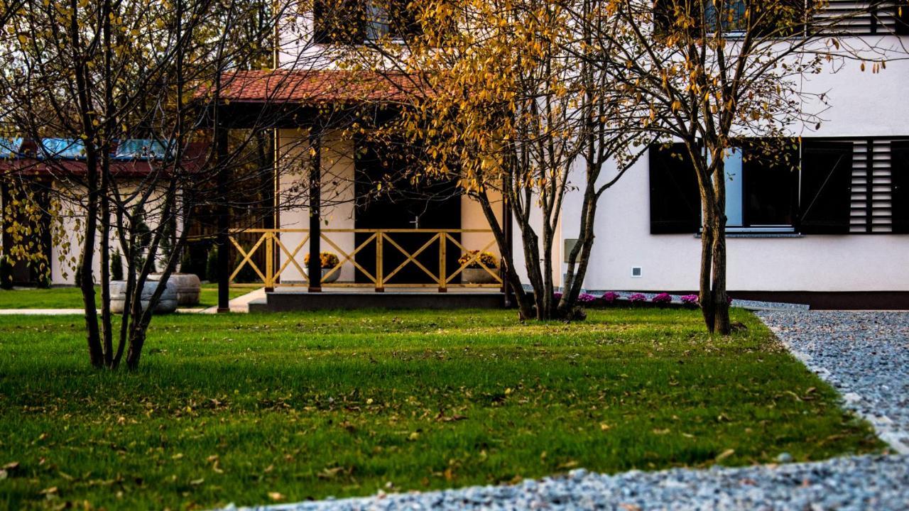 Pensiunea Negoiu Porumbacu de Sus Dış mekan fotoğraf